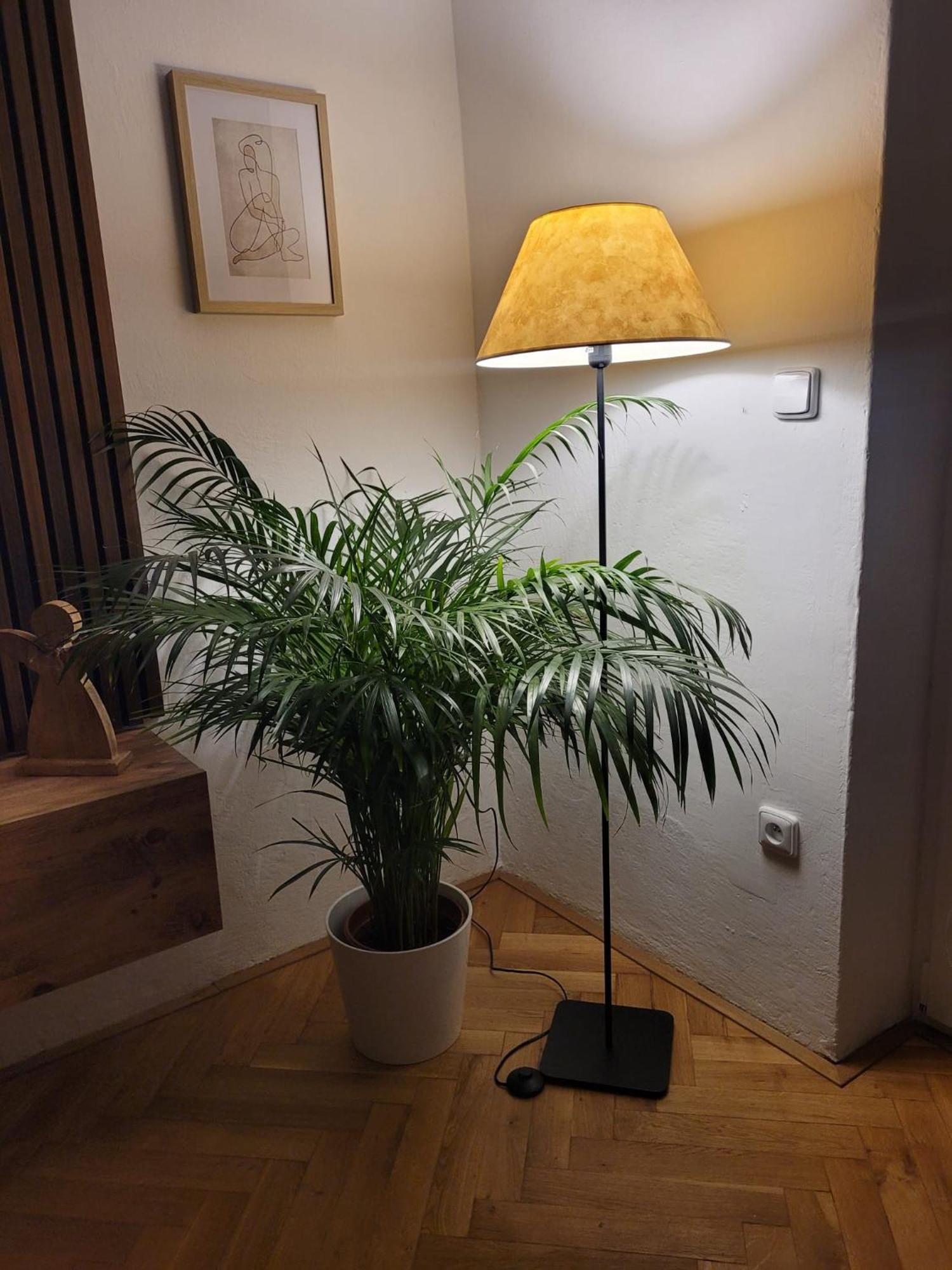 Novy Apartman Eva Jičín Eksteriør billede